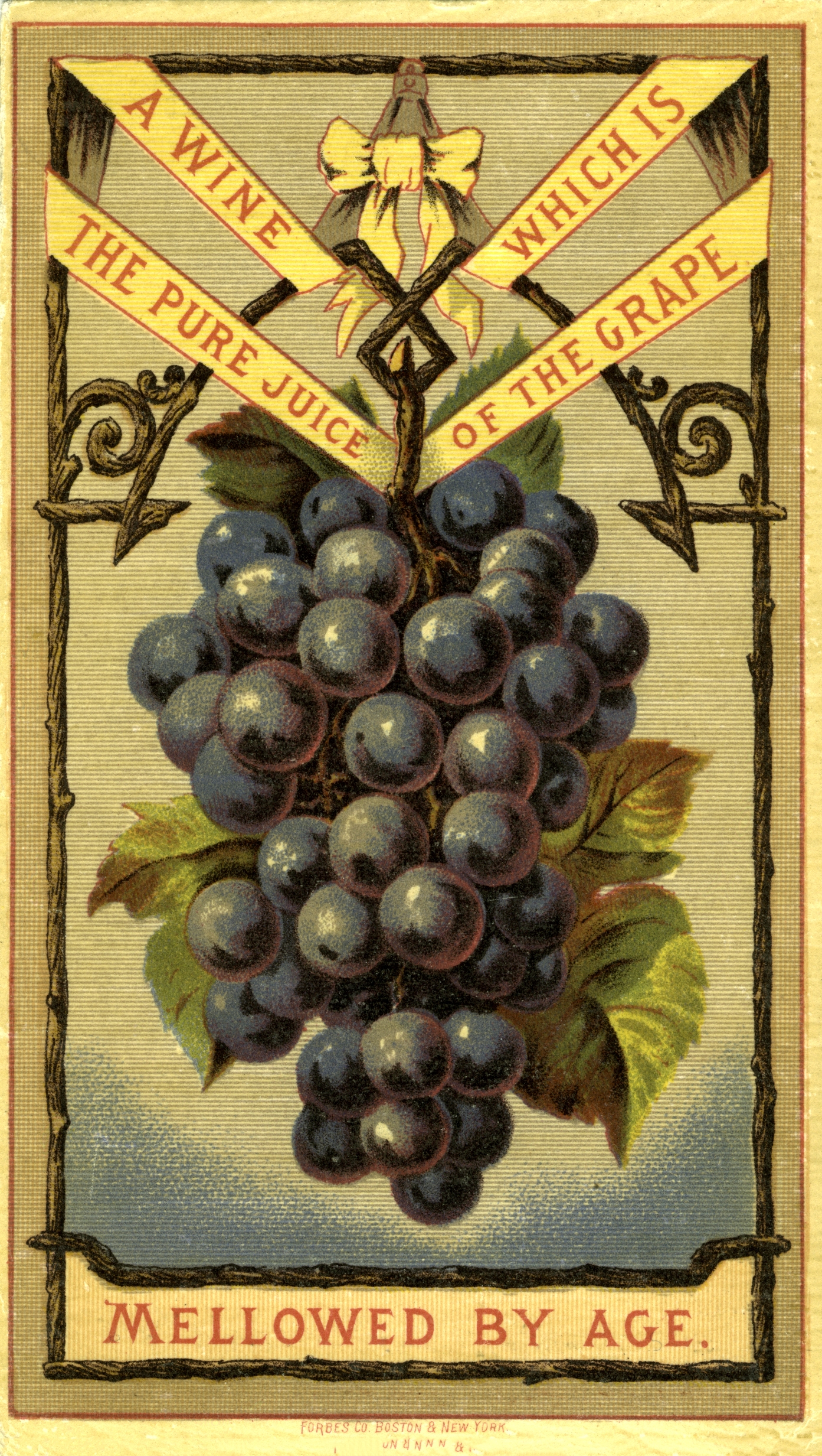 12 Grapes Clipart The Graphics Fairy