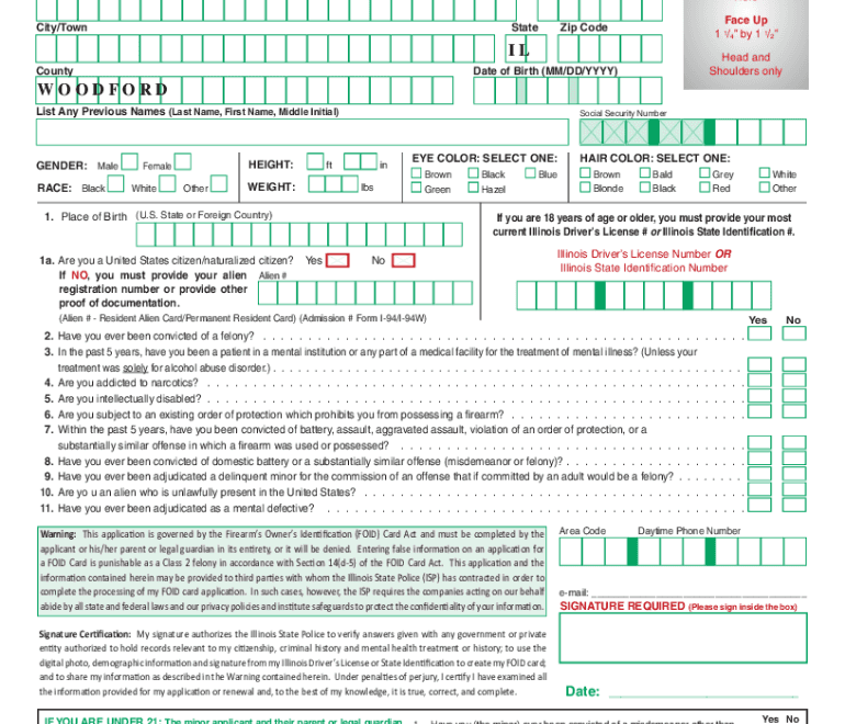 2012 2025 Form IL ISP 6 181 Fill Online Printable Fillable Blank PdfFiller