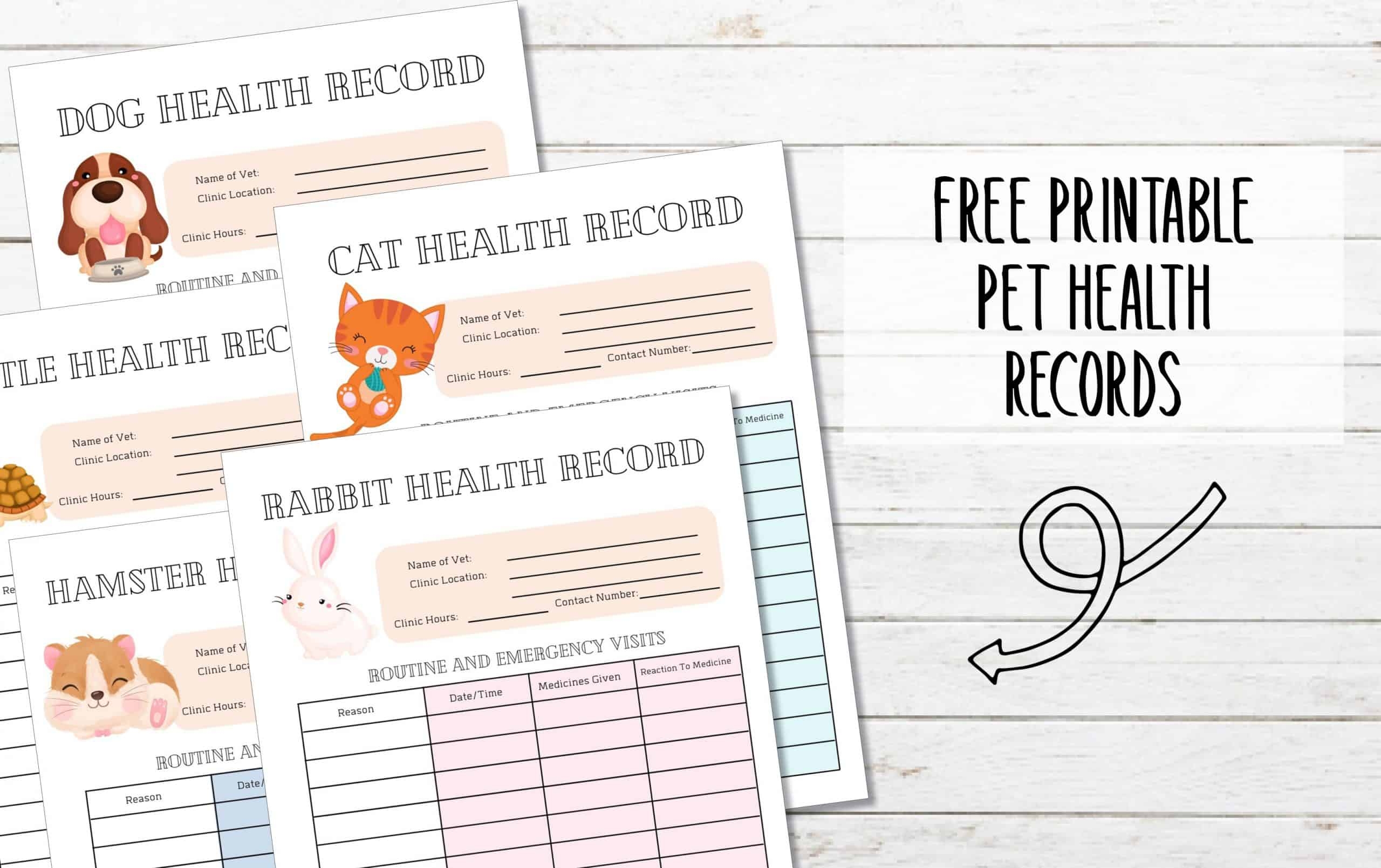 5 FREE Printable Pet Health Record Sheets My Printable Home