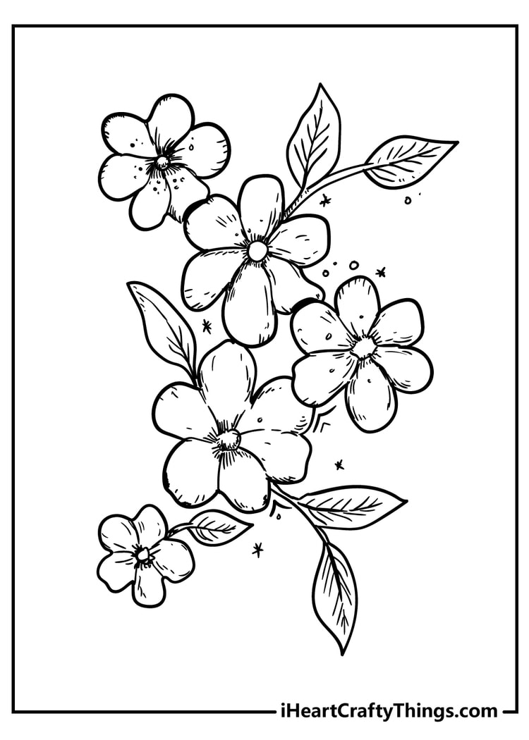52 Flower Coloring Pages Easy Free Printable PDFs For Kids 