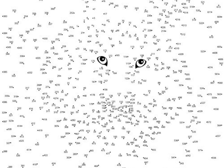 Animal Extreme Difficulty Dot to dot Connect The Dots Vol 1 PDF Etsy Denmark