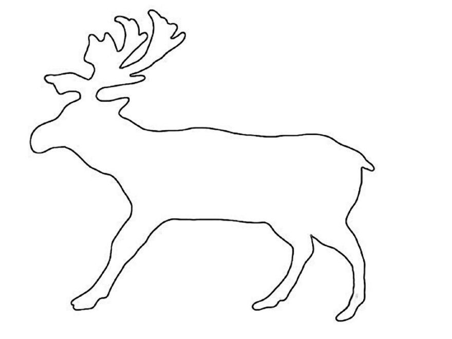 Animals FREE CRAFT PATTERNS