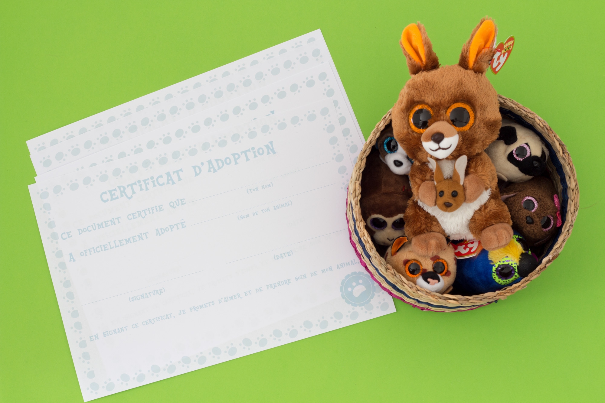 Beanie Boo Birthday Activities Mister Lapin
