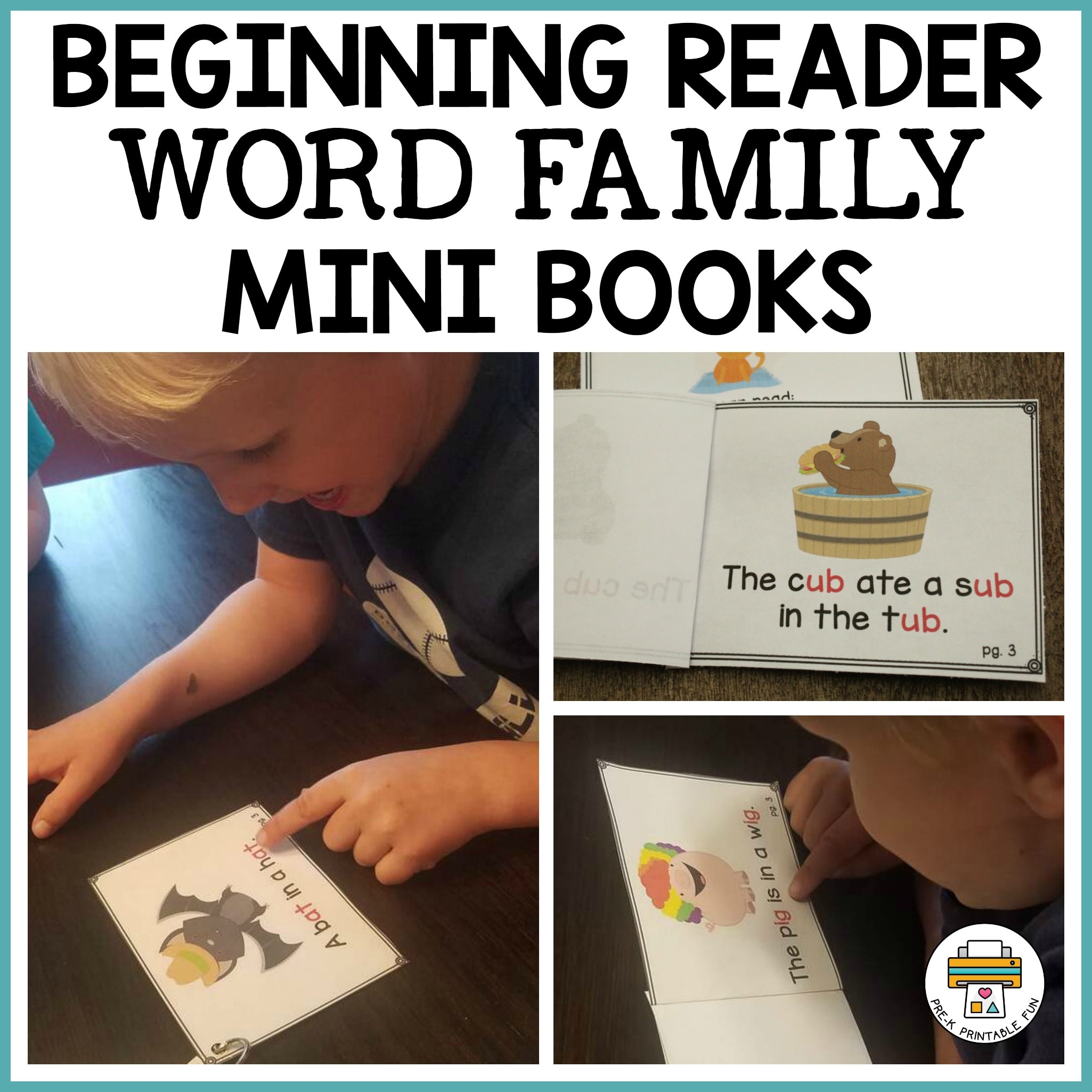 Beginning Reader Mini Books