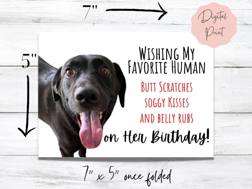 Birthday Card For Dog Mom From Adorable Black Lab To My Favorite Human Birthday Wishes For Her Dog Lover Printable Card Digital File Etsy