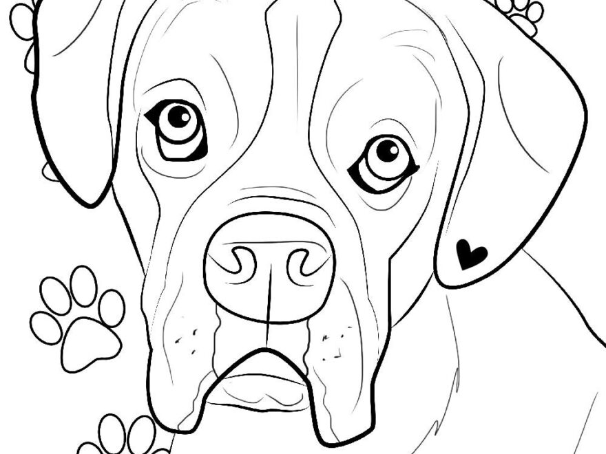Boxer Boxer Coloring Page Coloring Books Coloring Page Etsy