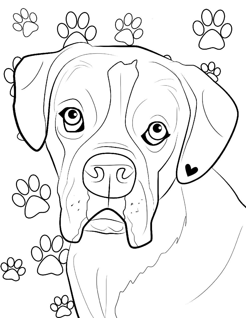 Boxer Boxer Coloring Page Coloring Books Coloring Page Etsy