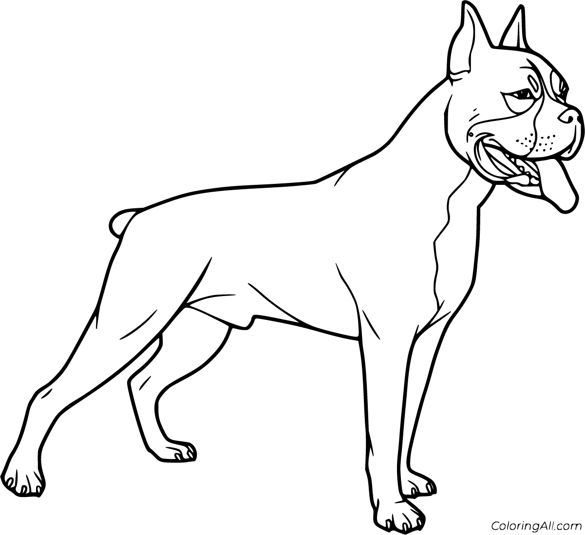 Boxer Dog Coloring Pages 12 Free Printables ColoringAll
