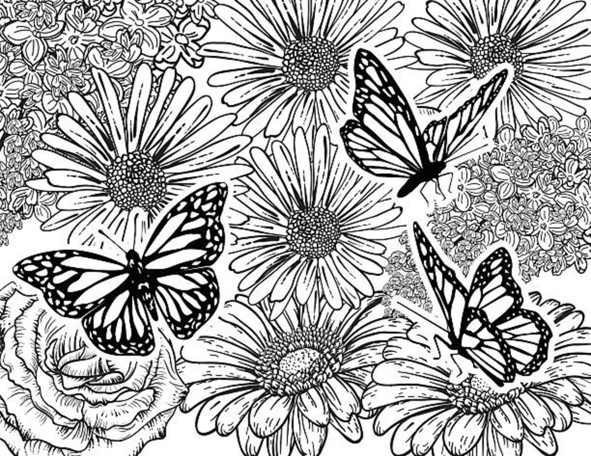 Butterfly Coloring Pages 25 Free Printable Sheets Parade