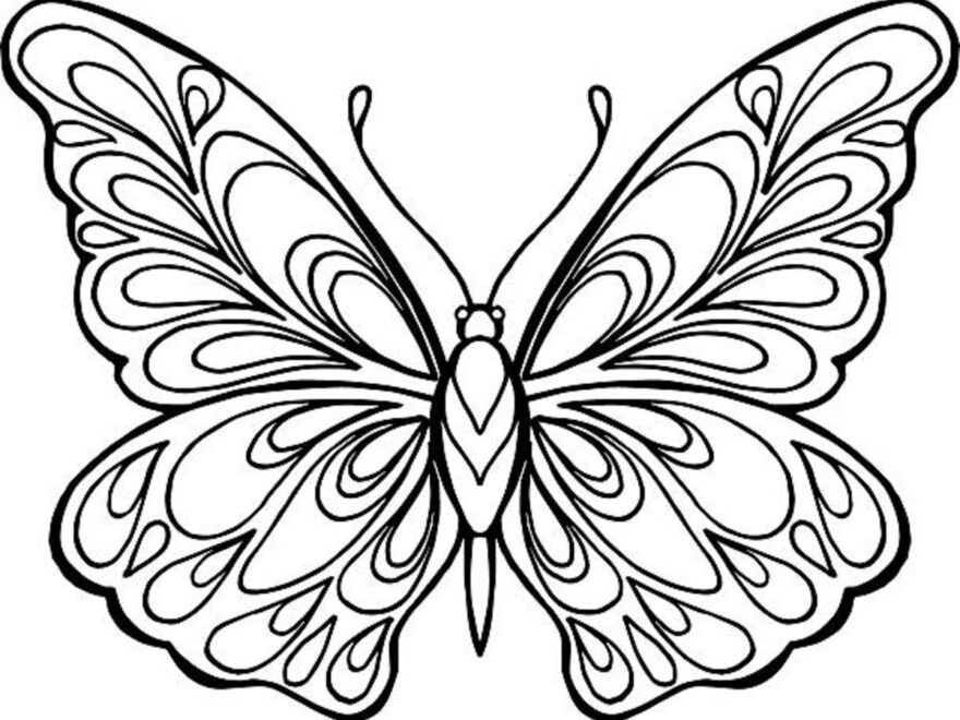 Butterfly Coloring Pages 25 Free Printable Sheets Parade