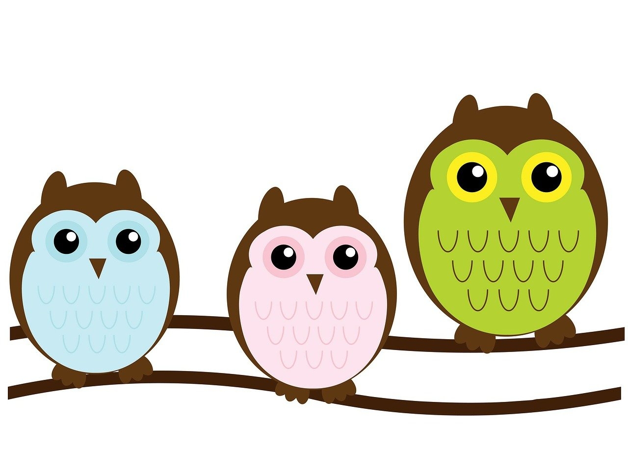 Download Owl Owls Family Royalty Free Stock Illustration Image Pixabay
