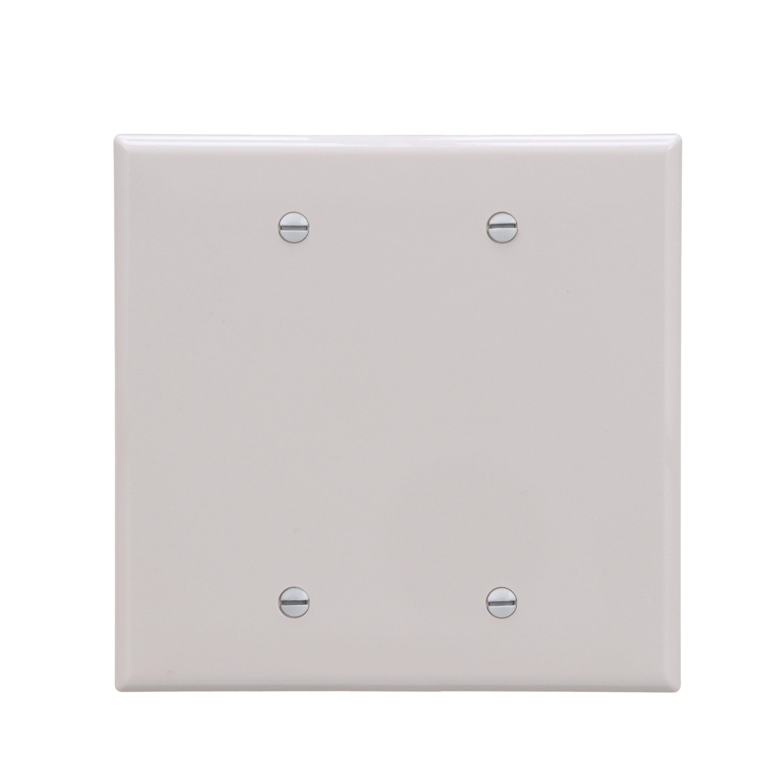 Eaton 2 Gang Midsize White Polycarbonate Indoor Blank Wall Plate PJ23W F LW At Lowes