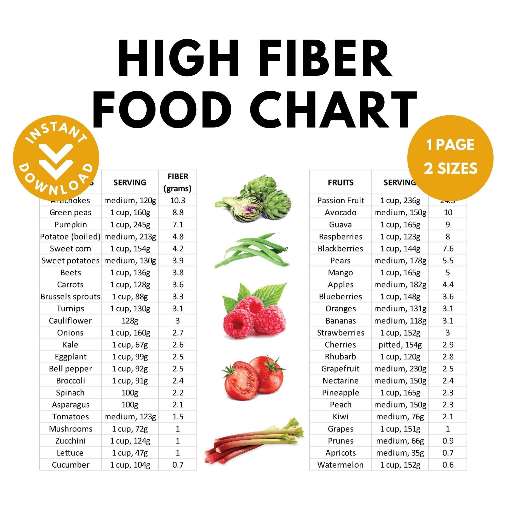 Fiber Foods Chart Printable Etsy