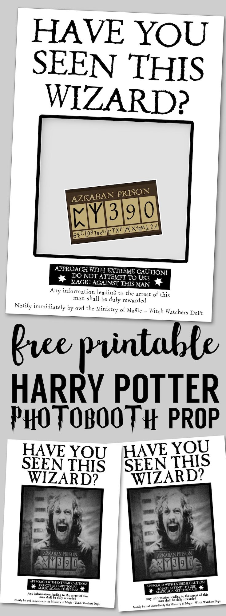 Have You Seen This Wizard Free Printable