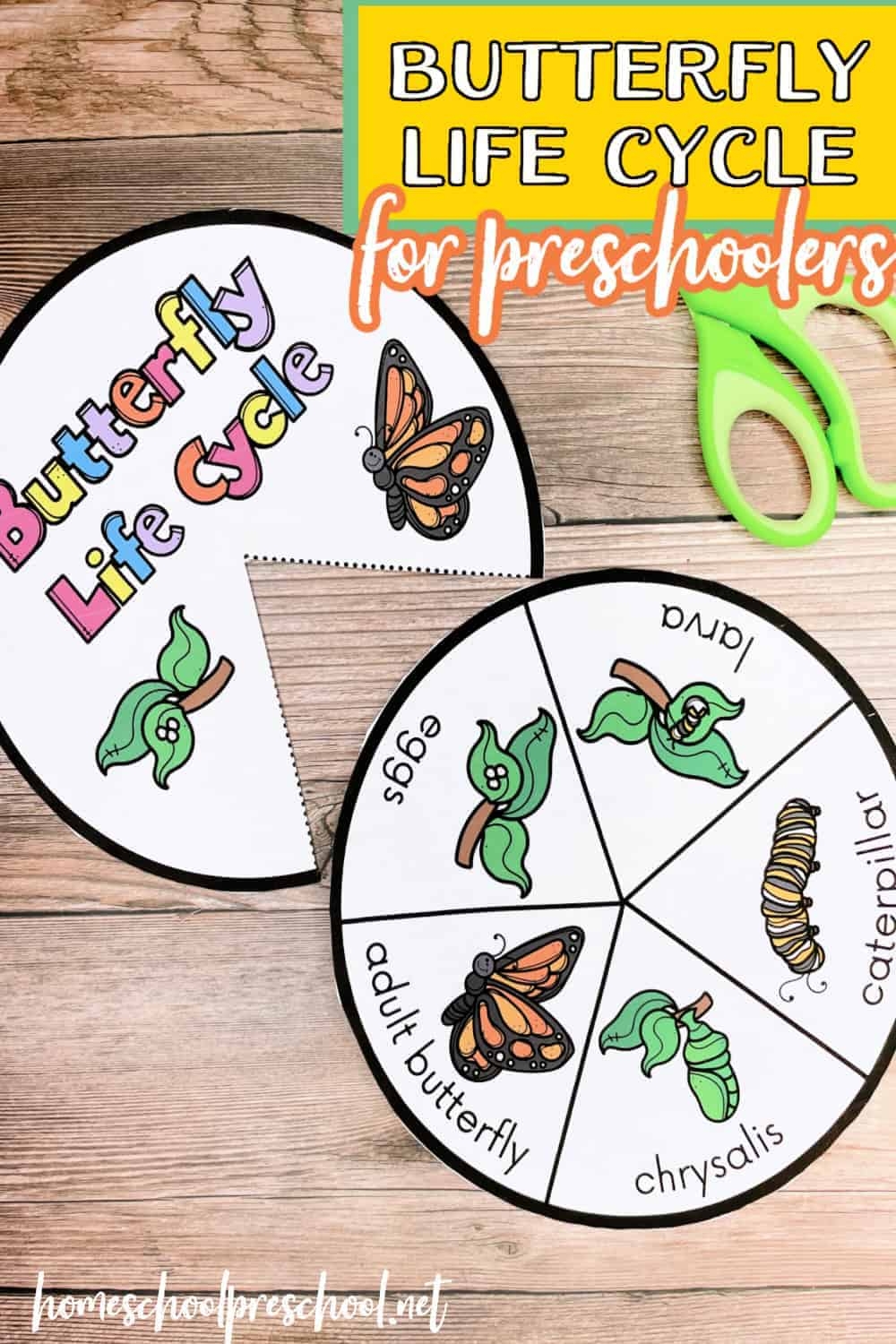 Free Printable Life Cycle Of A Butterfly