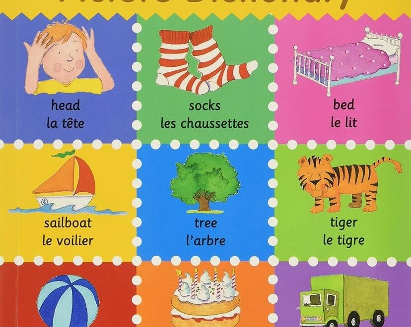 French English Picture Dictionary Learn French For Kids 350 Words With Pictures Learning Books Homeschool Supplies For Toddlers 1 3 First Bilingual Picture Dictionaries Bruzzone Catherine Millar Louise Comfort Louise Dix Steph