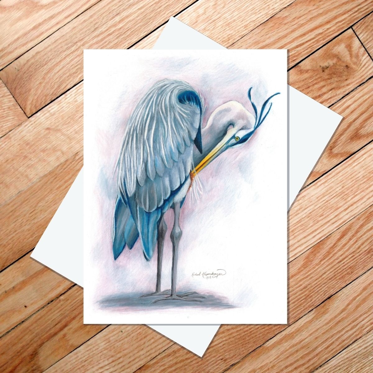 Great Blue Heron Preening 5 7 Art Card Rachael Koppendrayer
