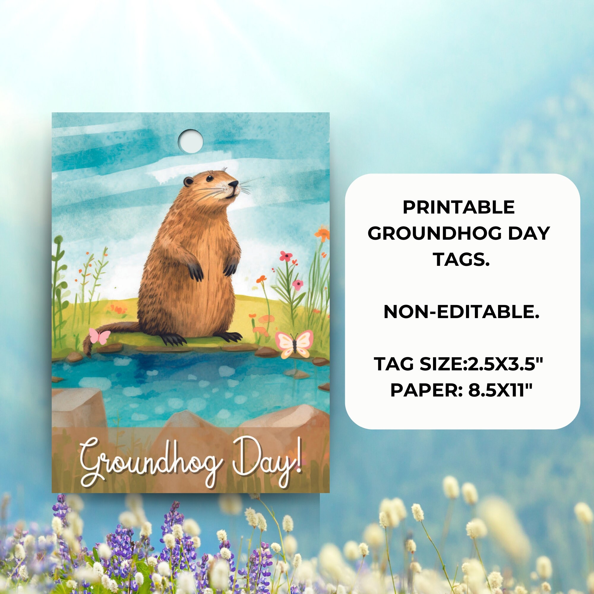 Free Printable Groundhog Day Party Decor