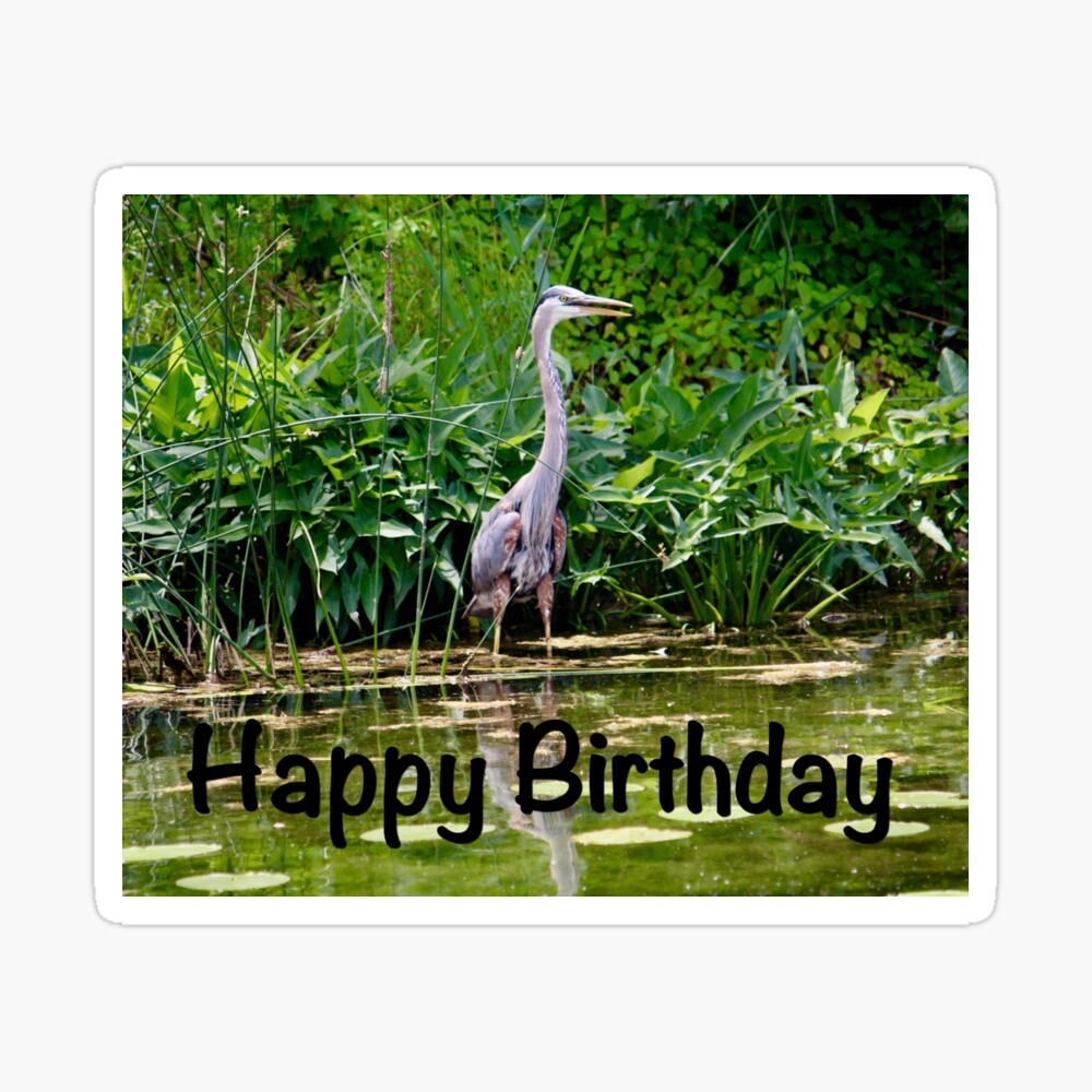 Happy Birthday Heron Greeting Card For Sale By BethTidd Redbubble