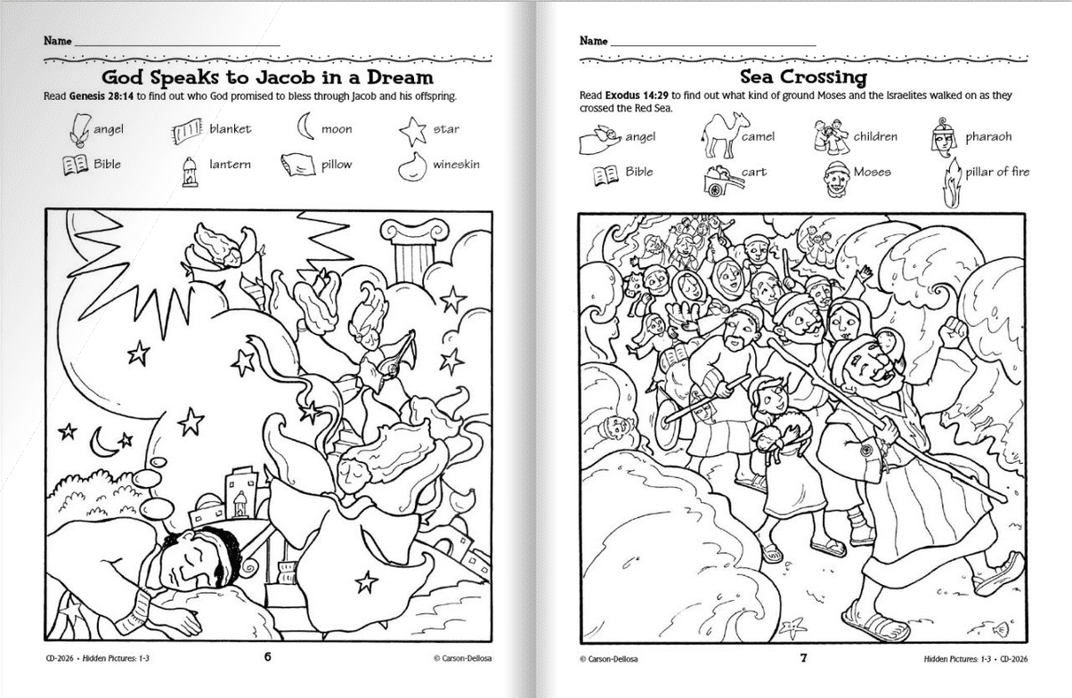 Hidden Pictures Activity Book Grade 1 3 Paperback FD Class D cor