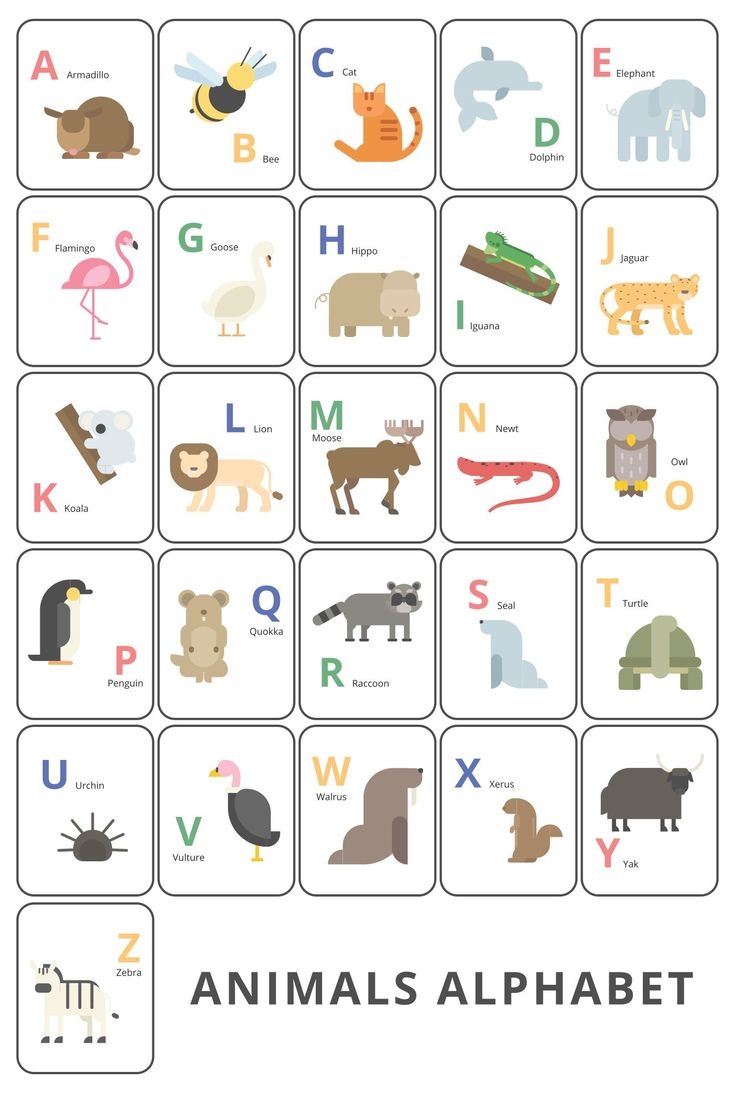 Large ABC Flash Cards 10 Free PDF Printables Printablee