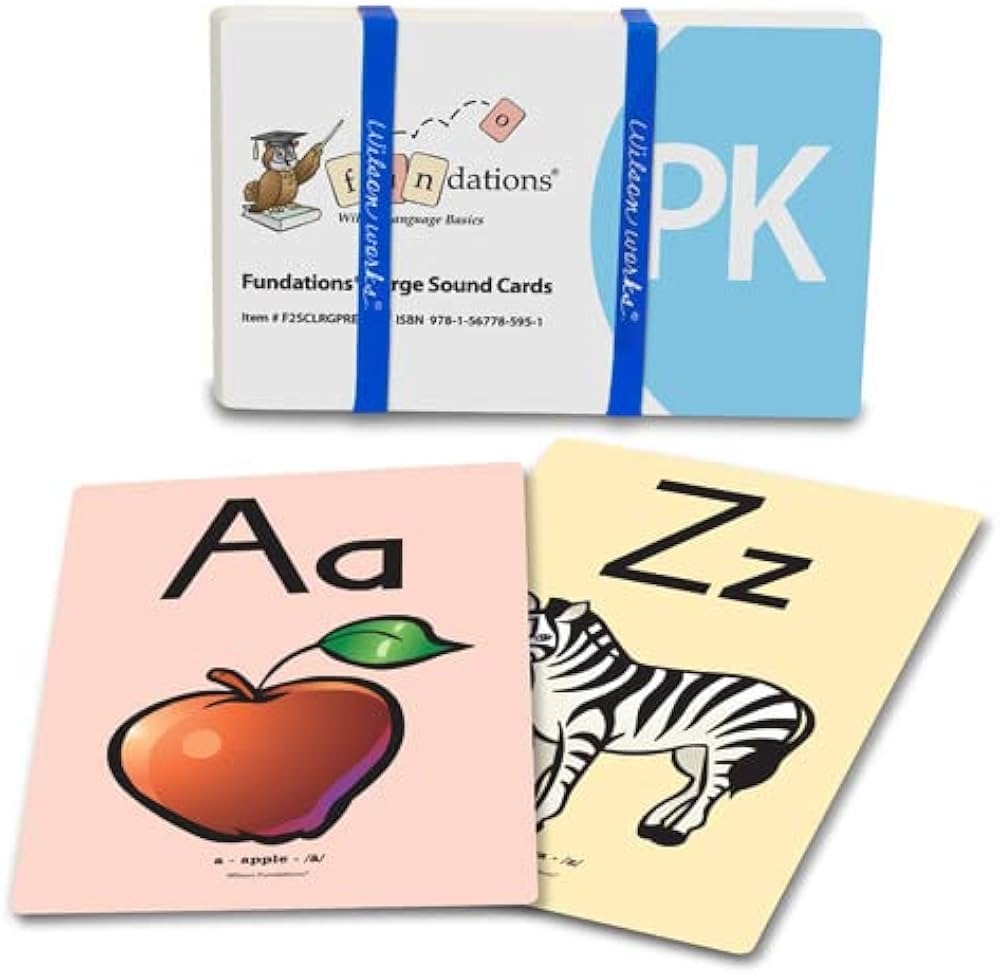 LARGE SOUND CARDS PRE K Wilson 9781567785951 Amazon Books