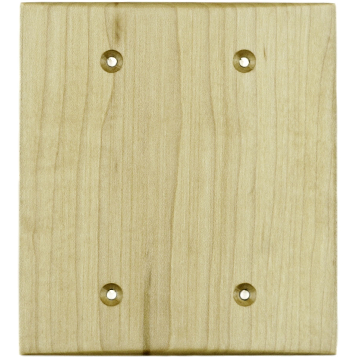 Printable Textured 2 Gang Blank Wall Plate