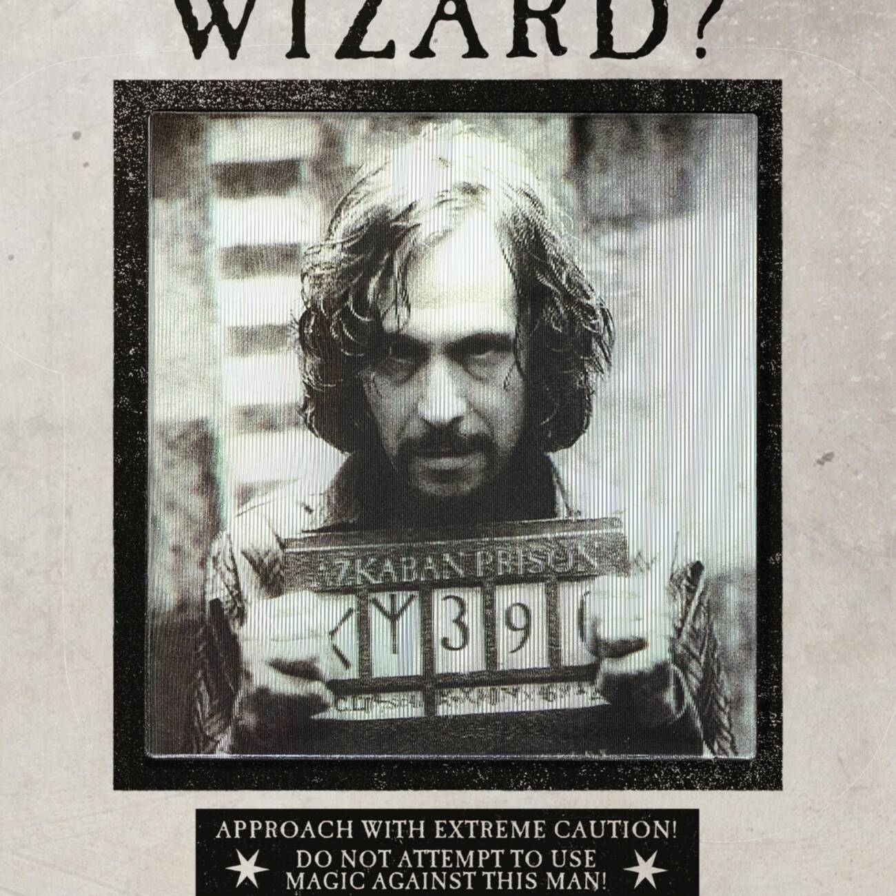 Ministry Of Magic Have You Seen This Wizard MinaLima