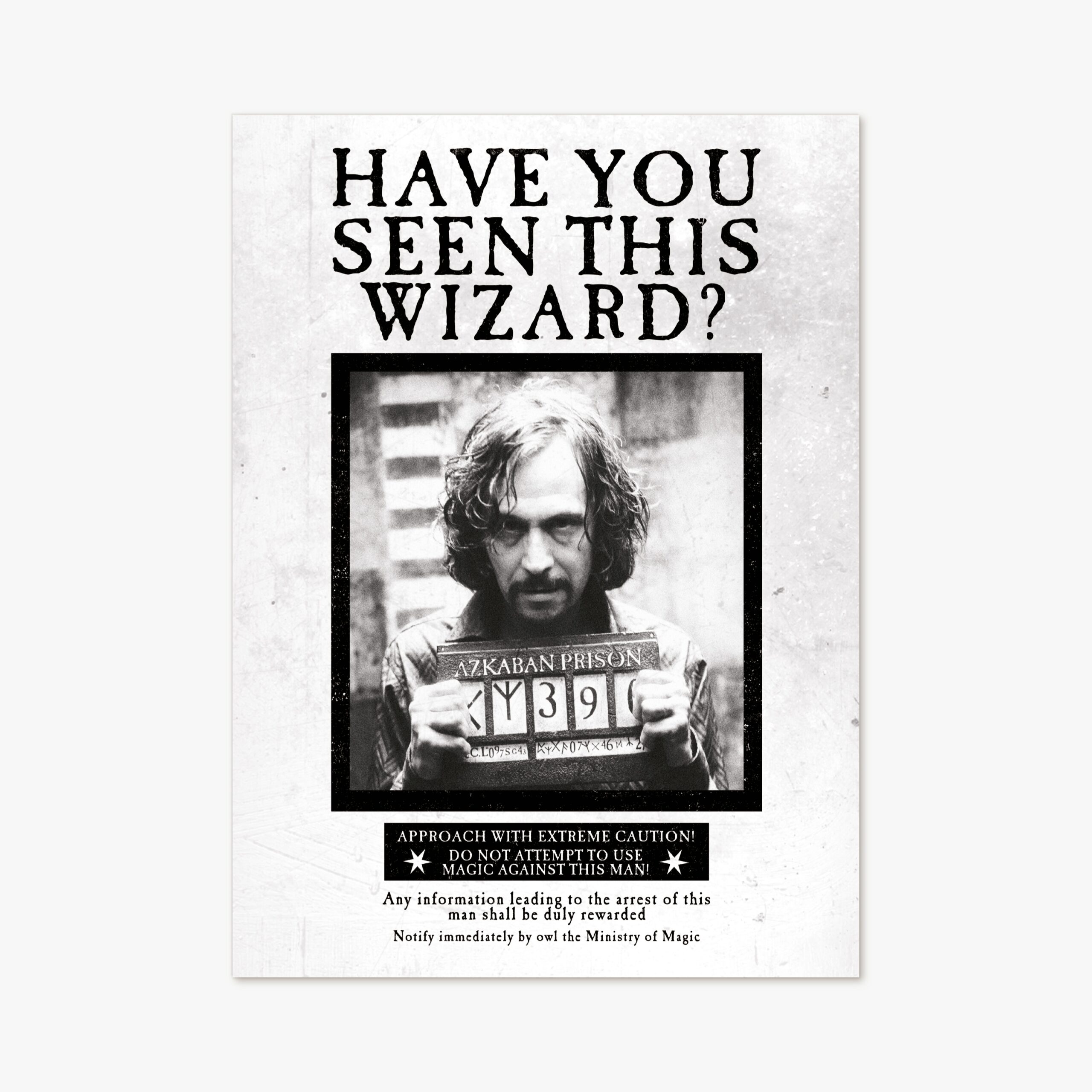 Ministry Of Magic Have You Seen This Wizard MinaLima