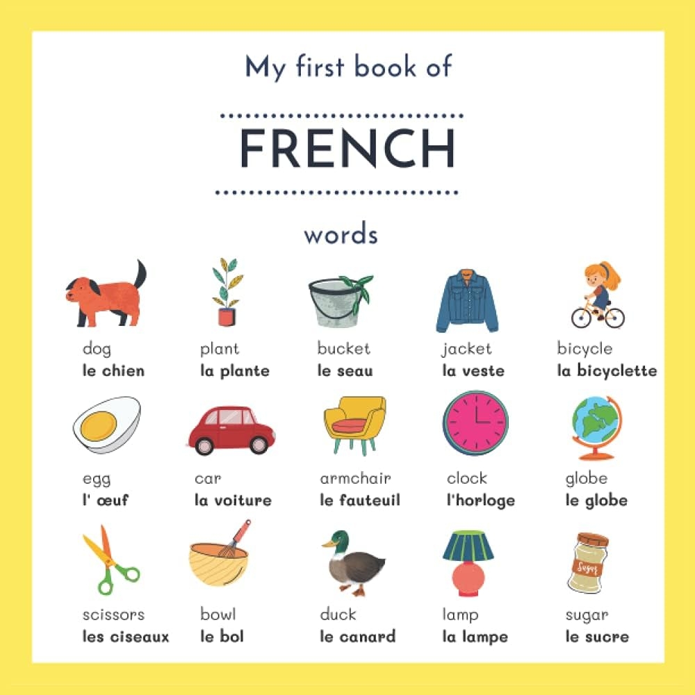 My First Book Of French Words My First Words In French English French Picture Dictionary French English Children s Book French English Books For Children French Anglais Fran ais 