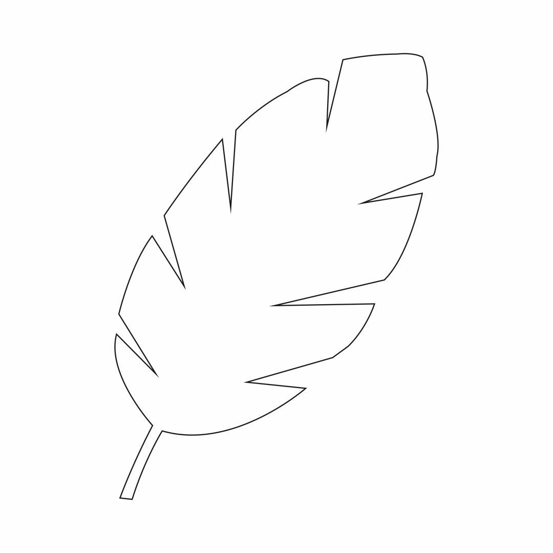 Palm Leaf Template 16 Free PDF Printables Printablee