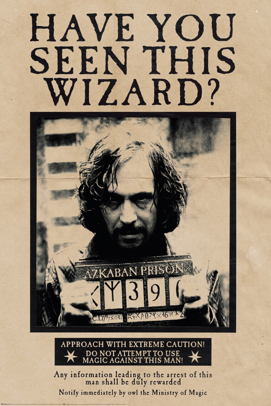Poster Harry Potter Sirius Black Wall Art 3 1 FREE Abposters