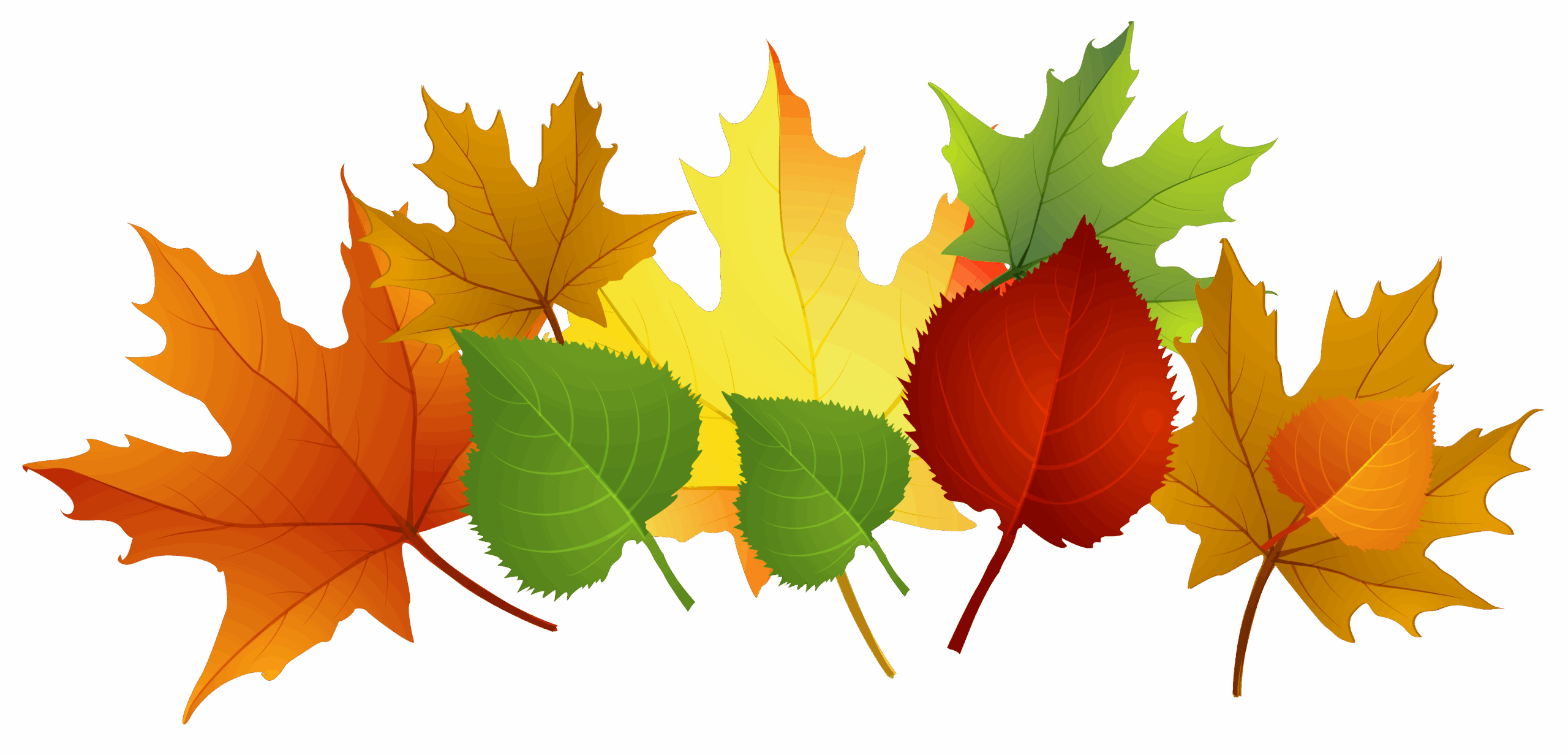 Printable Fall Leaves Clipart Free 3104154