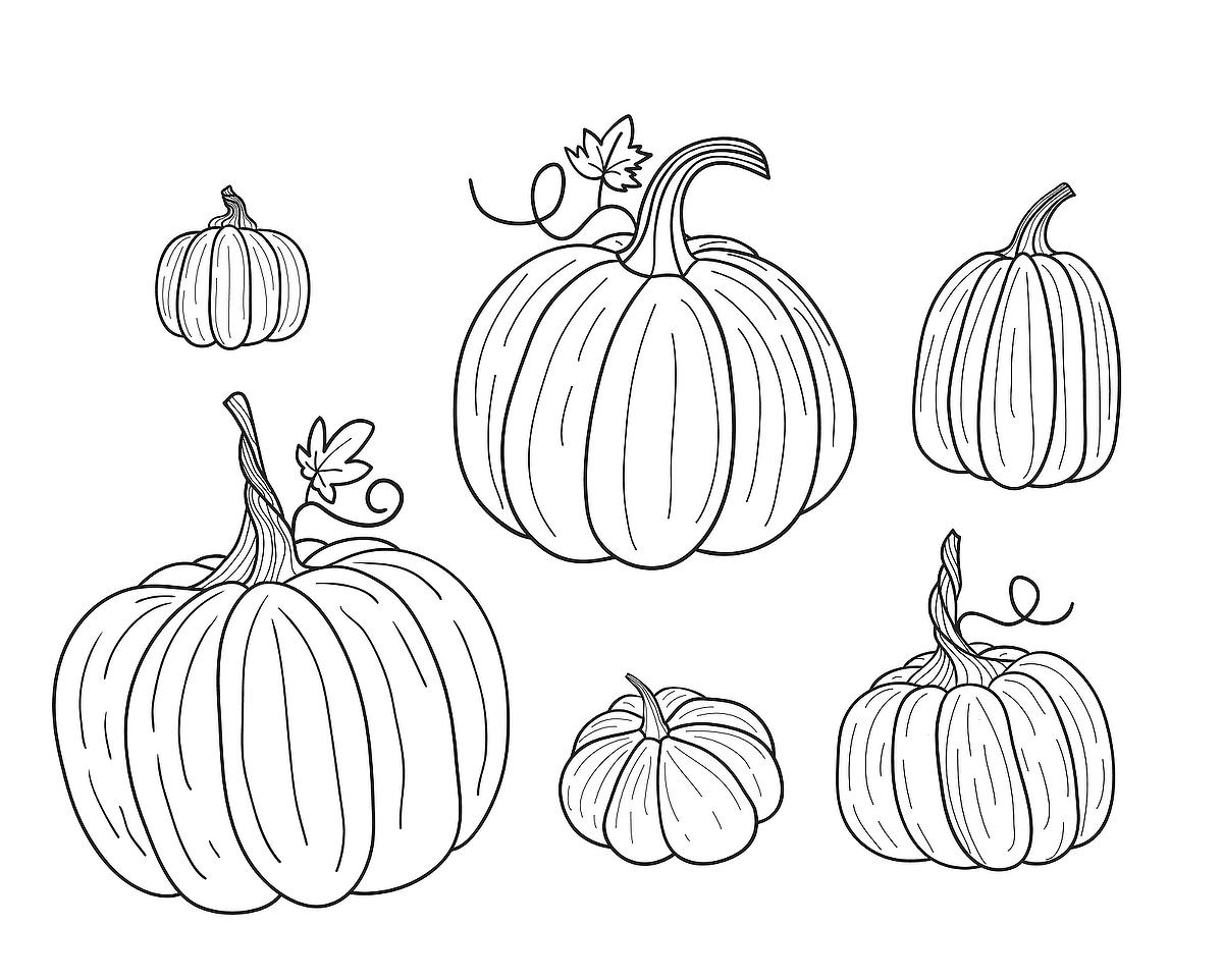 Free Printable Coloring Pages Pumpkins