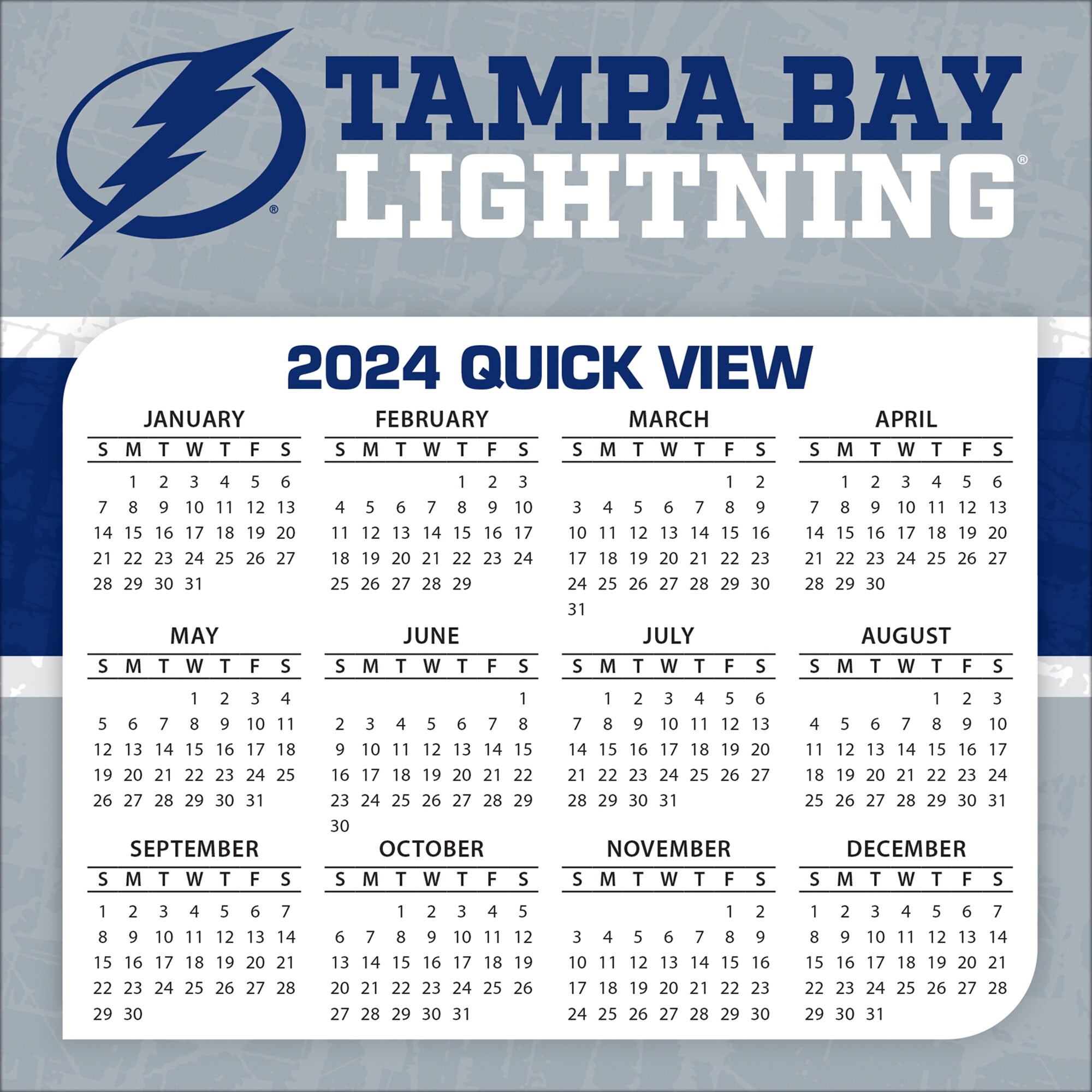 Tampa Bay Lightning 2024 Box Calendar Worksheets Library