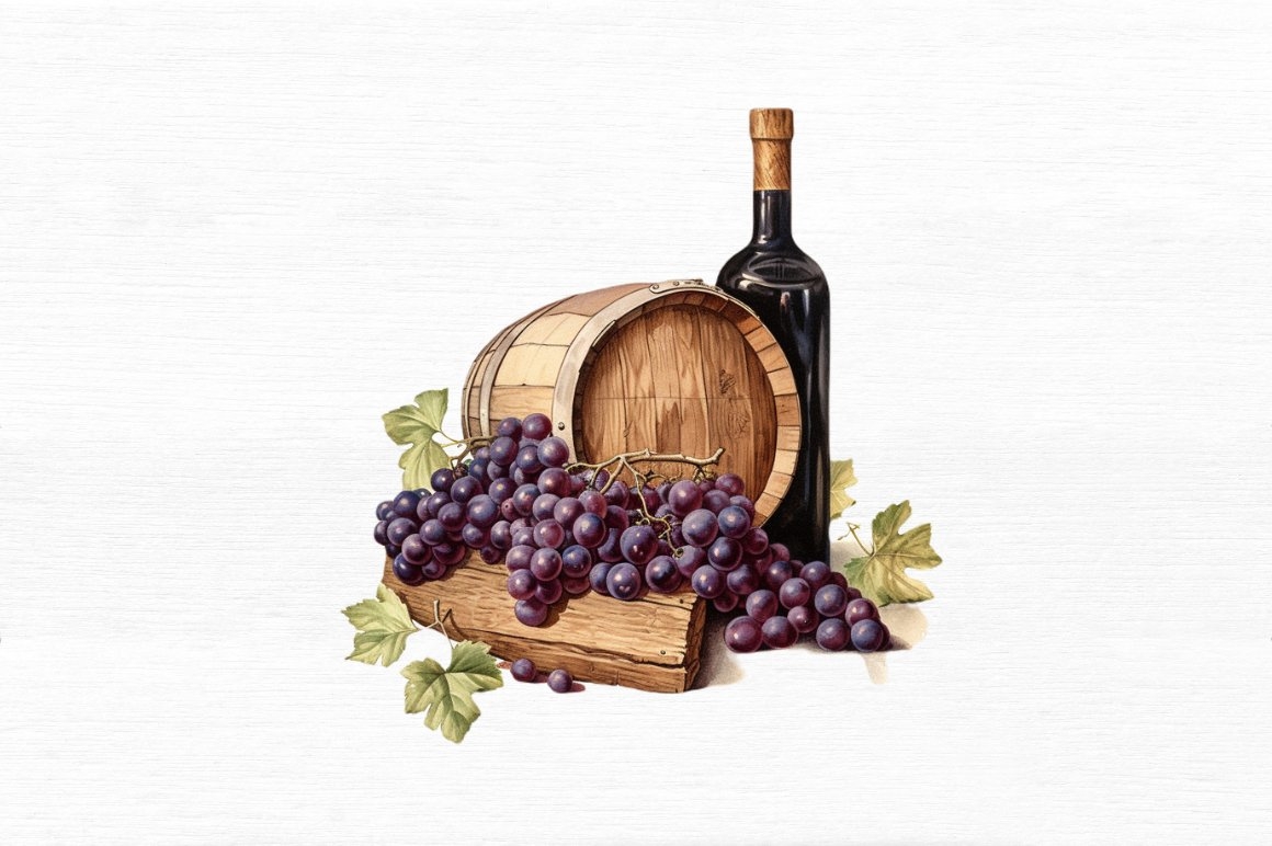 Vintage Grape Wine Bottle And Barrel Watercolor Clipart