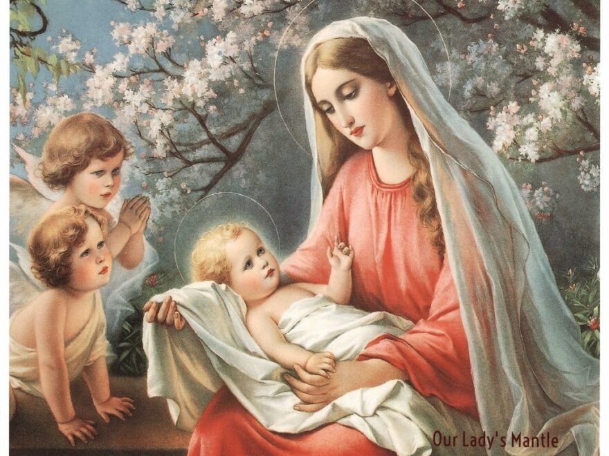 Virgin Mary Infant Jesus With Angels 8x10 Catholic Picture Print Art Etsy