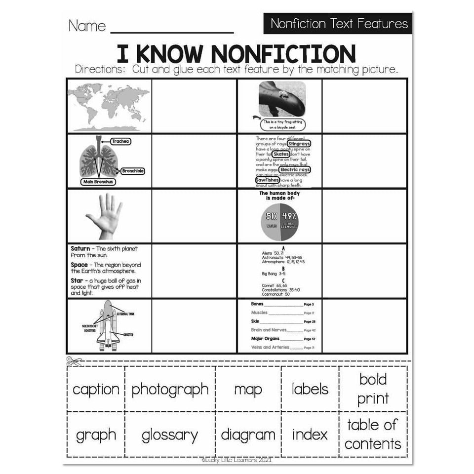 Winter Early Finishers 1st Grade ELA Nonfiction Text Features I Know Nonfiction Lucky Little Learners
